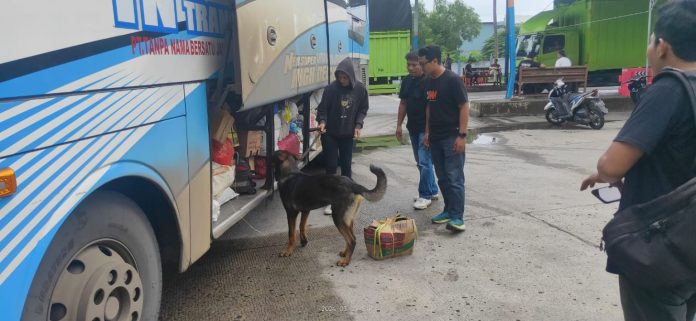 Polri mengerahkan anjing pelacak saat melakukan operasi seaport interdiction di Pelabuhan Bakauheni Lampung.