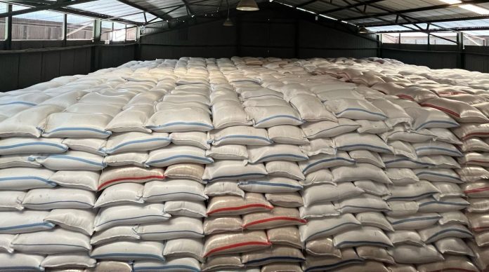 Ilustrasi beras di gudang PT Food Station Tjipinang Jaya (FSTJ).