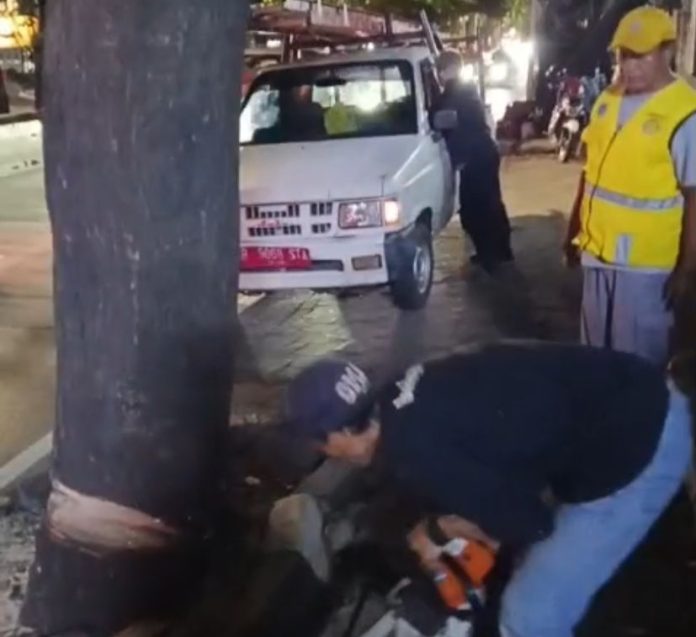 Tangkapan layar video terduga oknum ASN Dinas Bina Marga saat melakukan penebangan sebuah pohon pelindung secara ilegal di Jalan Iskandar Muda, Kebayoran Lama, Jakarta Selatan.