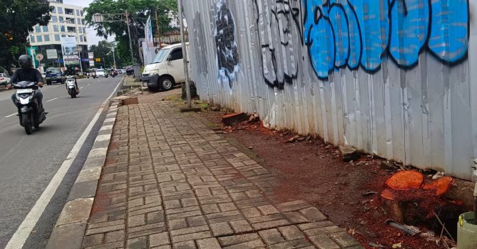 Dua batang pohon di kawasan Pondok Indah, Jakarta Selatan, ditebang dan kini hanya menyisakan potongan batang di Jalan Metro Pondok Indah.