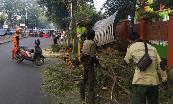 Petugas Sudin Pertamanan dan Hutan Kota dibantu PPSU menangani pohon tumbang yang terjadi di Jalan Pakubuwono VI, Kebayoran Baru, Jakarta Selatan, Rabu (11/3/2026) pagi.