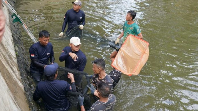 Prajurit TNI dari Seskoal dalam kegiatan pemberantasan ikan sapu-sapu di kawasan Perkampungan Budaya Betawi Setu Babakan, Kelurahan Srengseng Sawah, Kecamatan Jagakarsa, Jakarta Selatan. 