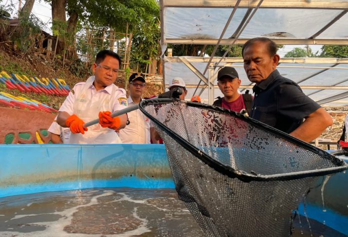 Wali Kota Administrasi Jakarta Selatan Syafrin Liputo memanen sekitar 250 kilogram ikan dari kegiatan urban farming berbasis teknologi yang dikembangkan Kelompok Tani (Poktan) New Puspita Makmur di RW 09, Kelurahan Gandaria Utara, Kecamatan Kebayoran Baru, Jakarta Selatan, Rabu (23/9/2026).